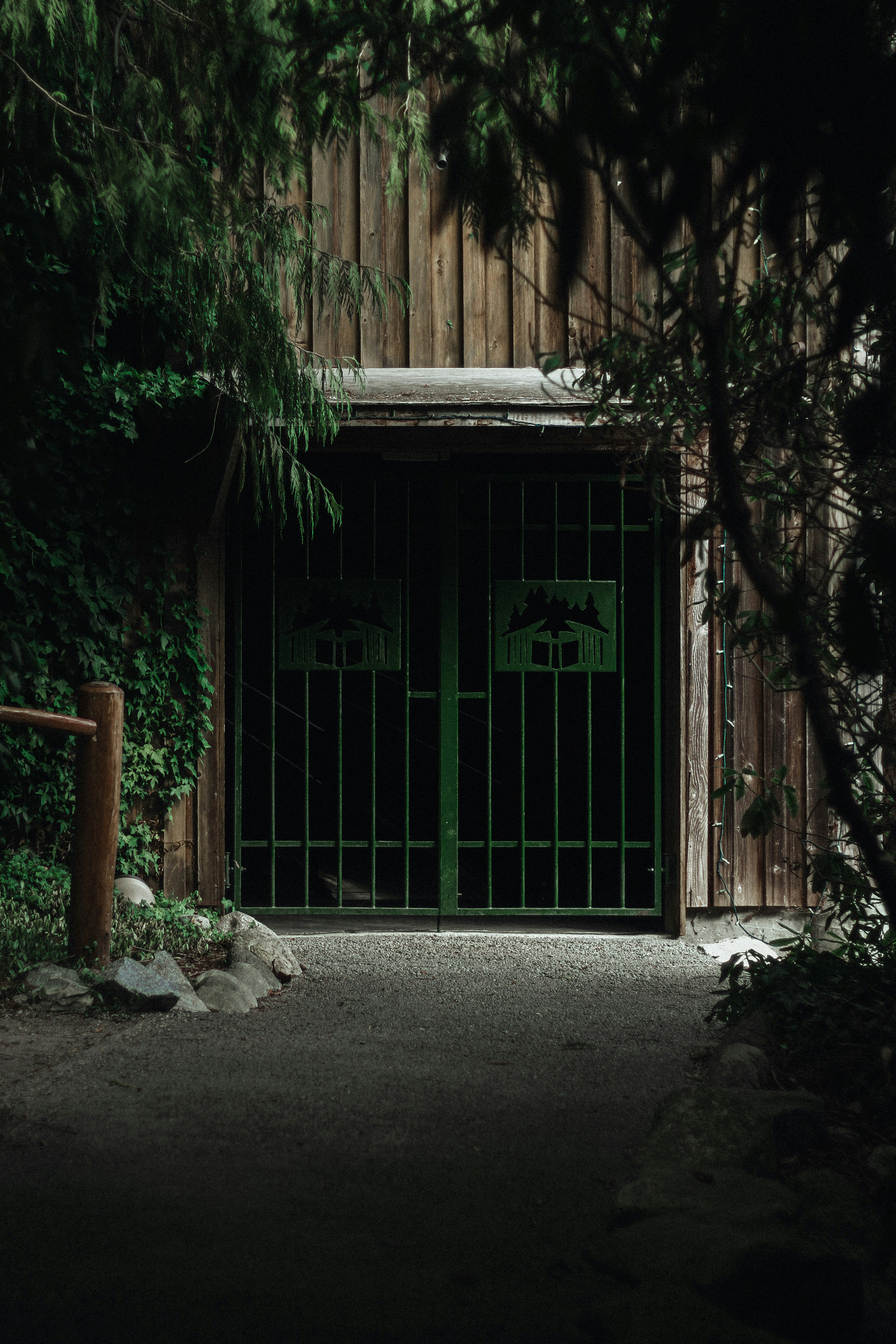 blue wooden door near trees during daytime